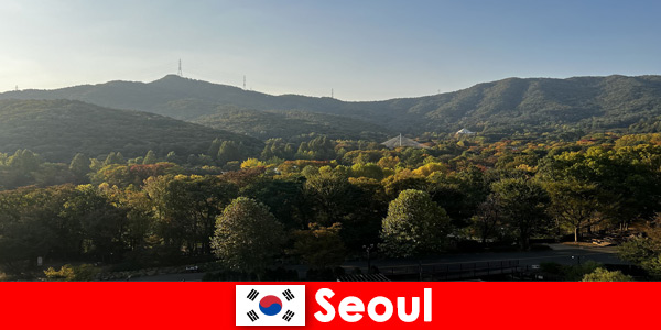 Popular vacation packages for groups to Seoul South Korea