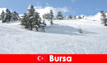 Winter trip for families in the largest ski area Bursa Turkey