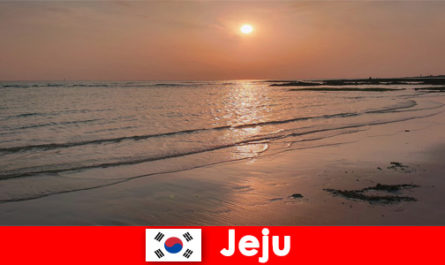Dream destination for weddings and guests from abroad in Jeju South Korea