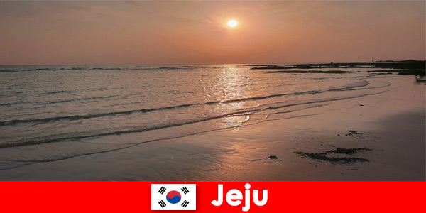 Dream destination for weddings and guests from abroad in Jeju South Korea
