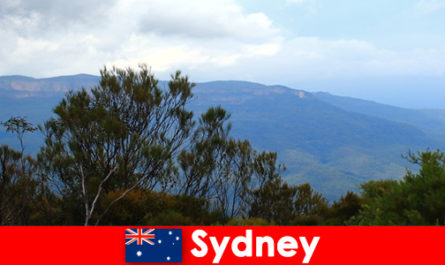 Relaxing camping holidays for nature tourists in Sydney Australia