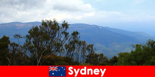Relaxing camping holidays for nature tourists in Sydney Australia