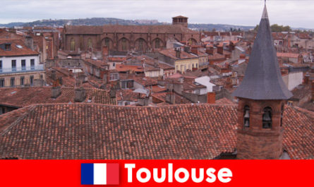 Experience charming sights in picture-perfect Toulouse France