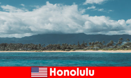 Diving trips for sports vacationers in Honolulu United States a unique experience