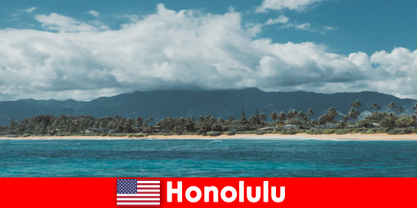 Diving trips for sports vacationers in Honolulu United States a unique experience