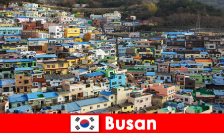 Trip abroad to Busan South Korea with food culture on every corner for little money