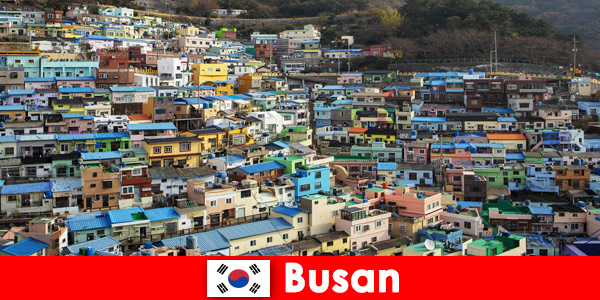 Trip abroad to Busan South Korea with food culture on every corner for little money