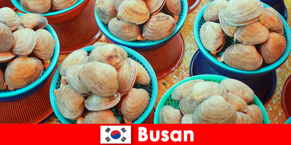 Busan South Korea has daily fresh seafood at the market