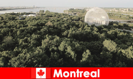 Backpackers explore wild nature on foot in Montreal Canada