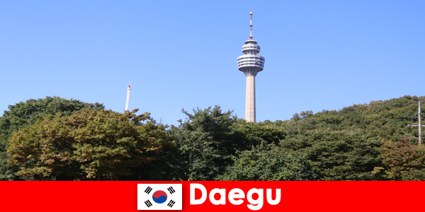 The beautiful city in Daegu South Korea love tourists from all over the world