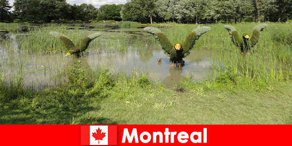 Discover nature and rare animals in Montreal Canada