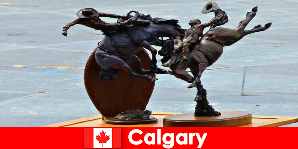 An unforgettable journey through the beautiful nature of Calgary Canada