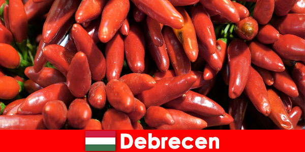 The most famous vegetable that is found in almost every dish in Debrecen Hungary