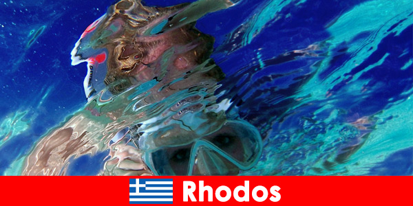 Fascinating underwater world to discover in the holiday paradise of Rhodes Greece