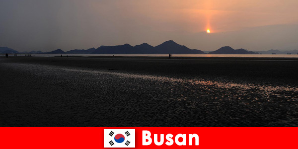 Experience untouched nature and many activities in Busan South Korea