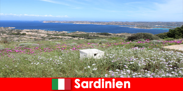 Holidays in the great outdoors in Sardinia Italy for nature lovers