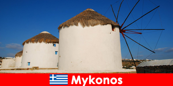 Mykonos in Greece has gorgeous beaches and friendly ones