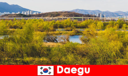 Top tips for independent travelers in Daegu, South Korea