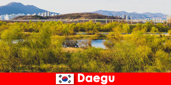 Top tips for independent travelers in Daegu, South Korea
