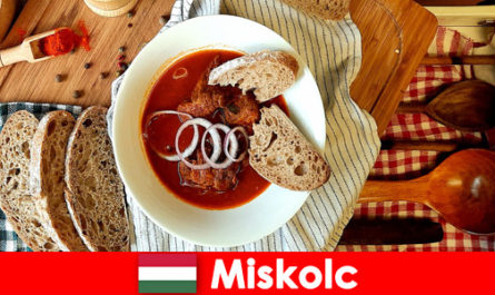 Guests in Miskolc Hungary enjoy local localities and culture