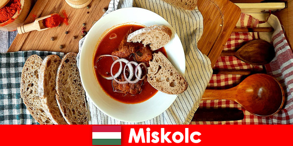 Guests in Miskolc Hungary enjoy local localities and culture