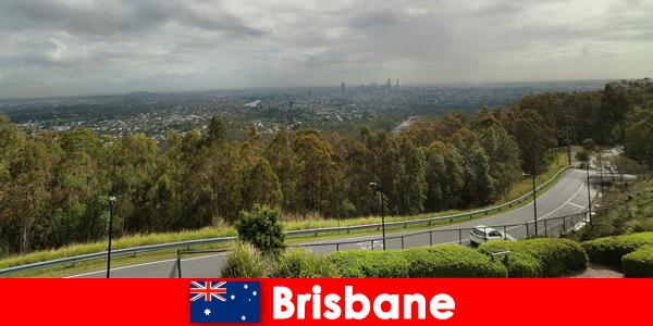 Collect great impressions whether healthy or unhealthy in Brisbane Australia as a stranger