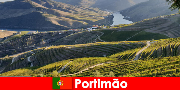 Guests love the wine tasting and delicacies on the mountains of Portimão Portugal