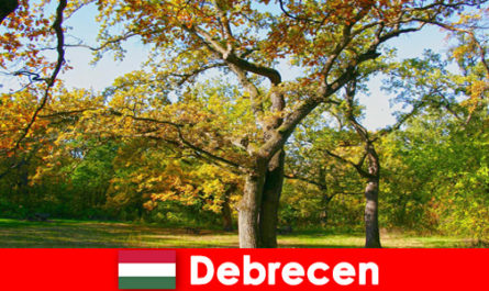 Spa vacation for pensioners in Debrecen Hungary with a lot of heart