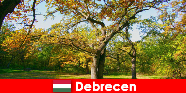 Spa vacation for pensioners in Debrecen Hungary with a lot of heart