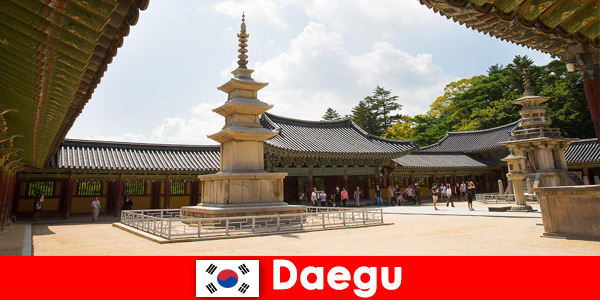 Experience historical history in Daegu South Korea up close