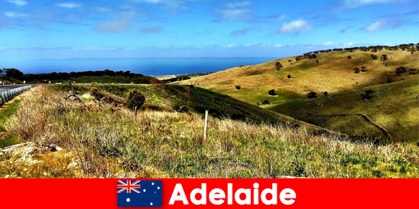 Long-distance travel for vacationers to Adelaide Australia in the wonderful wildlife