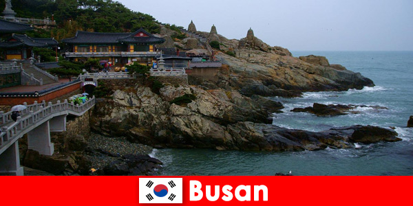 Busan South Korea a city to fall in love with