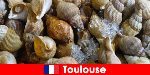 Indulge your taste buds here in Toulouse France