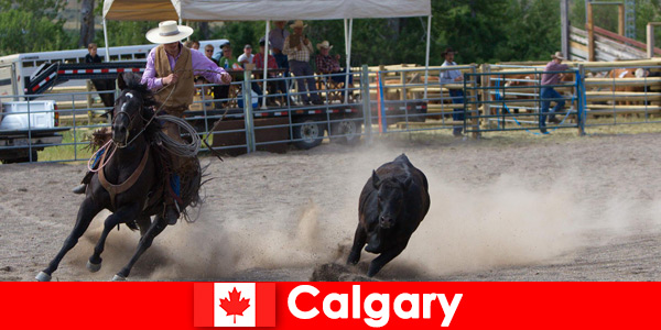 Locals and guests from all over love the rodeos in Calgary Canada