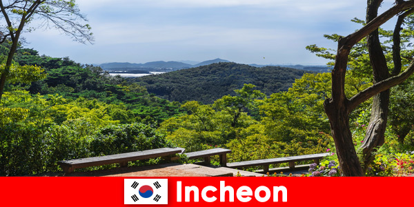 City and nature in Incheon South Korea harmonize very well with each other