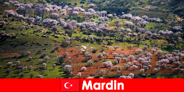 Experience untouched nature and many native animals outdoors in Mardin Türkiye