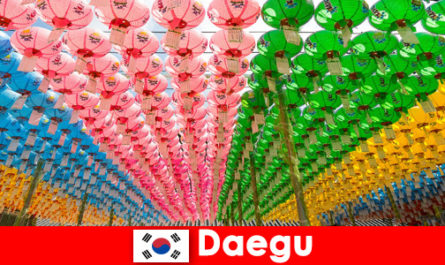 Travel destination with family to Daegu South Korea Experience diversity