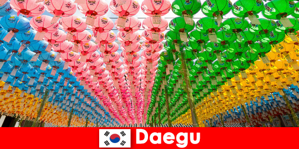 Travel destination with family to Daegu South Korea Experience diversity