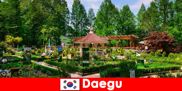 Daegu in South Korea the city with diversity and many sights