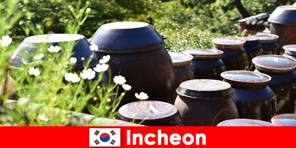 Observe mountains lakes and a variety of plants in Incheon South Korea