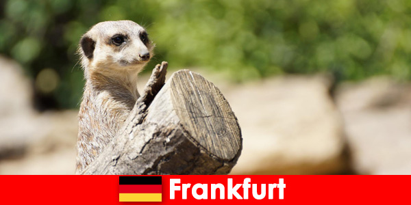 Biodiversity and many programs for families at Frankfurt Zoo in Germany