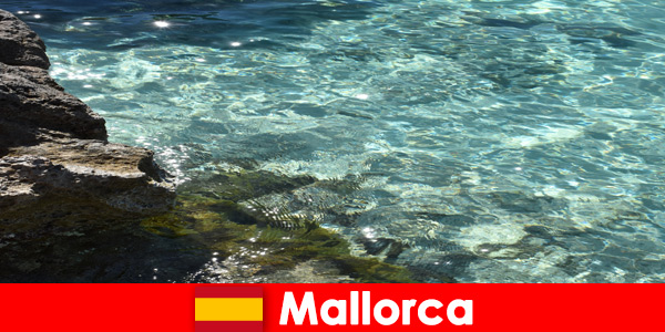 A dreamy place of longing for all visitors is Mallorca in Spain