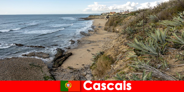 Long hikes and enjoying the surroundings to the fullest in Cascais Portugal