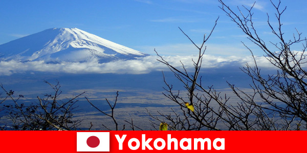 Inclusive mountain panorama and lots of nature in Yokohama Japan to experience