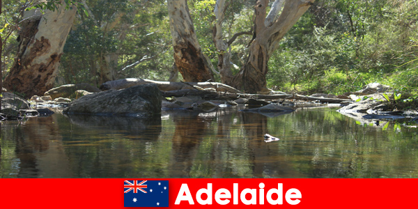 Experience nature at its best in Adelaide