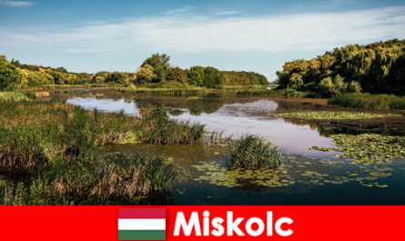 Miskolc Hungary offers many opportunities for travelers