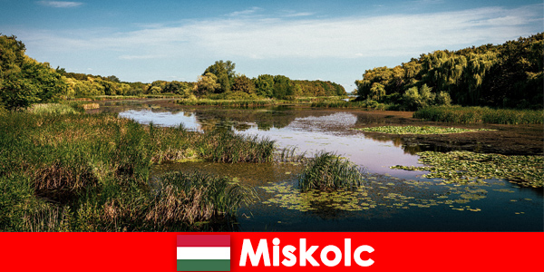 Miskolc Hungary offers many opportunities for travelers