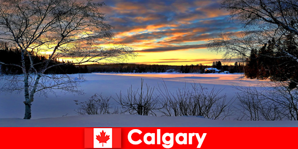 Enjoy a winter landscape with a special atmosphere for vacationers in Calgary